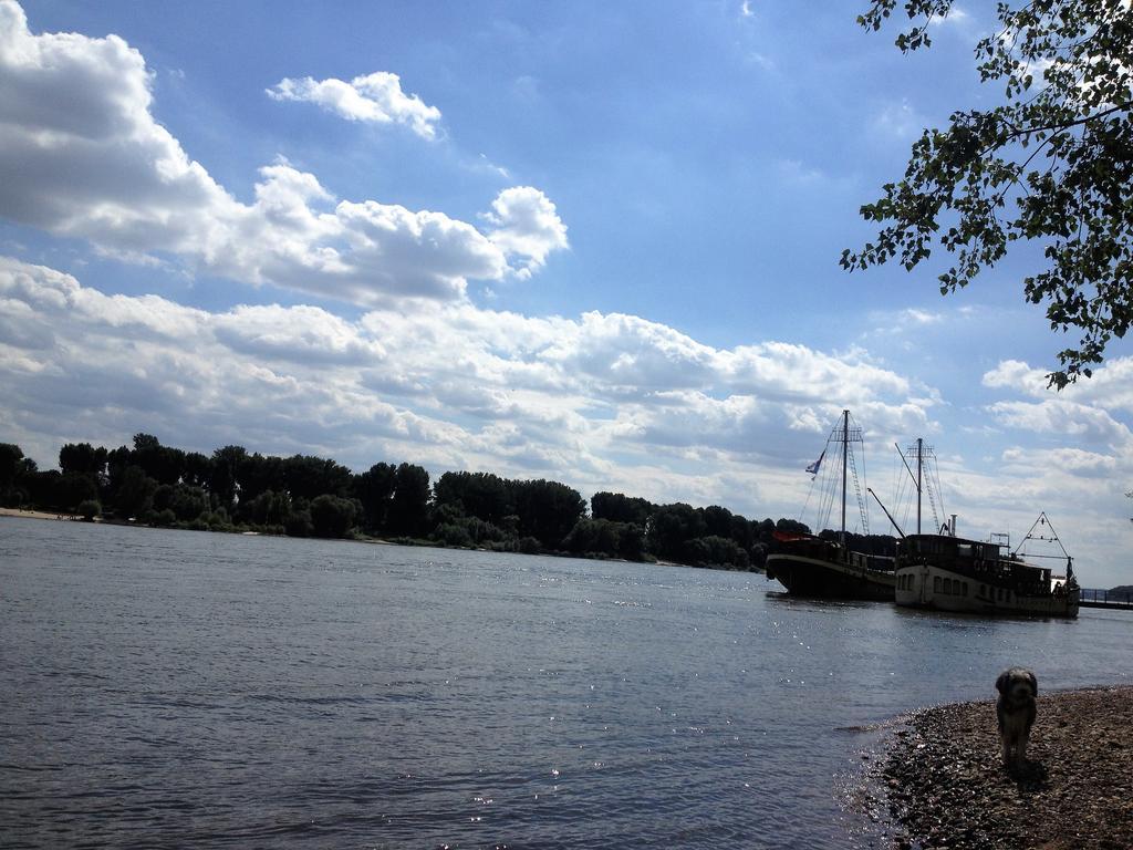 Апартаменты Koeln City Apartments